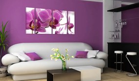 Πίνακας - Marvelous orchid 60x30