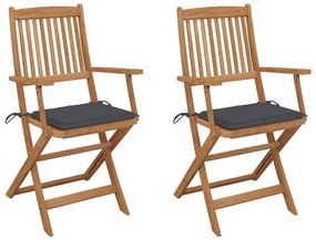 Καρέκλες Κήπου Πτυσσόμενες 2 τεμ Μασίφ Ξύλο Ακακίας &amp; Μαξιλάρια - Ανθρακί