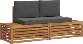 vidaXL Σειρά Καναπέ Εξωτερικού 2 Τεμάχιο Φυσικό και Ανθρακί