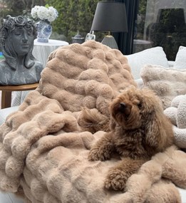 Ριχτάρι Καναπέ Καφέ BUBBLE 150x100