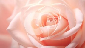 Intra Συλλεκτικό Ξύλινο Παζλ Plywood  4mm - Κοντινό πλάνο ροζ τριαντάφυλλο Σε Ξύλινο Κουτί - Διαστάσεις: 10x10 cm – 25 κομμάτια