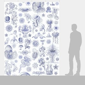 Ταπετσαρία DUTCH WALL DECOR NATURAL HISTORY NH250045-DWD
