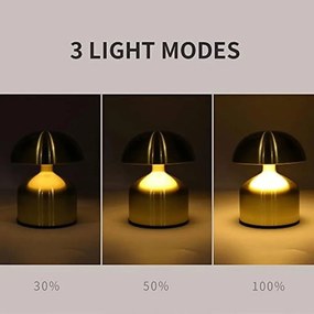 Επιτραπέζιο Διακοσμητικό Φωτιστικό LED Μπαταρίας 15x10cm - Χρυσό