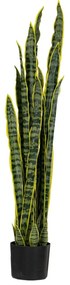 Φυτό Με 30 Φύλλα Sansevieria Πράσινο 115εκ. iliadis 89788