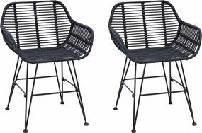 vidaXL Καρέκλα τραπεζαρίας 2 pcs Καλάμι και Σίδερο Μαύρο