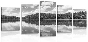Εικόνα 5 τμημάτων φύσης το καλοκαίρι σε ασπρόμαυρο - 100x50