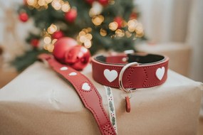 Κολλάρο Σκύλου Hunter Love M/L 47-54 cm Κόκκινο