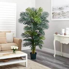 PALM TREE  NP5506_180_22  ΥΨΟΣ 180cm NewPlan