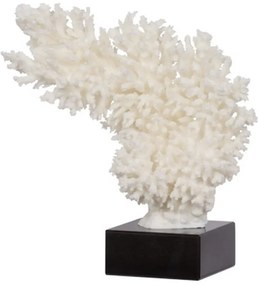 Artekko Coral Κοράλλι Διακοσμητικό σε Μαρμάρινη Βάση (29x11x29)cm Artekko 76701