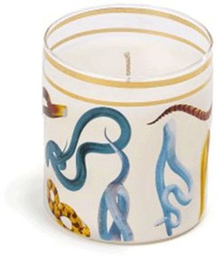 Κερί Σε Βάζο Snakes 14083 8x8,5cm Muti Seletti Paraffin