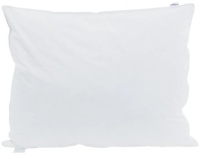 vidaXL Μαξιλάρια 2 pcs Λευκό 70 x 90 εκ. 130gsm 100% βαμβάκι