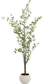 Τεχνητό Φυτό Plumbago Tree Πράσινο 60*60*152εκ. - Πράσινο