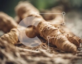 Intra Συλλεκτικό Ξύλινο Παζλ Plywood 4mm - Κοντινό πλάνο στοιβαγμένο τζίντζερ σε ξερά φύλλα Σε Ξύλινο Κουτί - Διαστάσεις: 10x10 cm – 25 κομμάτια