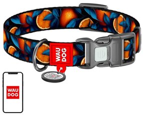 Nylon dog collar with QR code Waudog "Oranges" size L