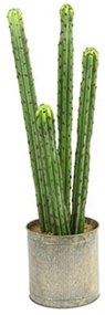 Διακοσμητικό Φυτό Σε Γλάστρα Cactaceae S 16x16x60cm Green Polyethylene