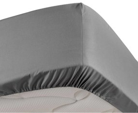 Σεντόνια με λάστιχο Douceur d intérieur  PERCALINE