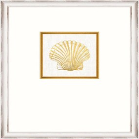 Κάδρο Seashell Fa13365 35X45Cm White-Gold Mindthegap Κάθετοι Wood
