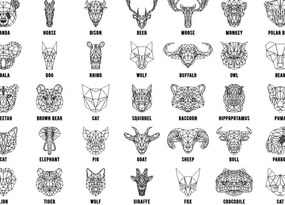 Σετ των 2 Intra απο ξύλο plywood 3mm-4mm πάχος – Γεωμετρικά σχέδια κεφαλών ζώων για κοπή και χάραξη με λέιζερ 30x30 cm INTRAVECTRY-MY554590