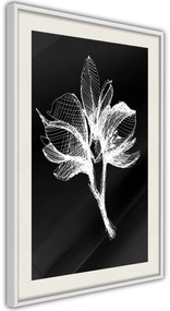 Αφίσα - White Plant - 20x30 - Χρυσό - Χωρίς πασπαρτού