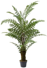 Τεχνητό Δέντρο Αρέκα Phoenix 7280-6 100x150cm Green Supergreens Polyethylene
