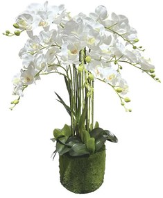 MarHome ΦΥΤΟ ΟΡΧΙΔΕΑ ΛΕΥΚΑ ΑΝΘΗ REAL TOUCH - Y80cm 1/ΚΙΒ  04-94377-1