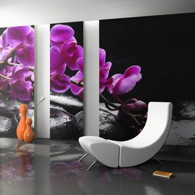 Φωτοταπετσαρία - Relaxing moment: orchid flower and stones 450x270