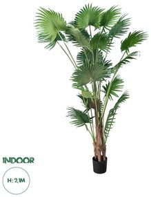 20014 GloboStar® Artificial Garden PALM TREE 20014 Τεχνητό Διακοσμητικό Φυτό Φοινικόδεντρο Βεντάλια Υ210cm