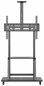 Βάση Τηλεόρασης Aisens FT100E-135 37" 100"