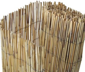 vidaXL Καλαμωτή 500 x 125 εκ.