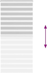 vidaXL Ζέβρα τυφλή Ανοιχτό Γκρι Πλάτος υφάσματος 100,9 εκ. Πολυεστέρας