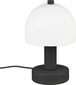 Πορτατίφ (Φ12x19) RL Glenn Black R51961032