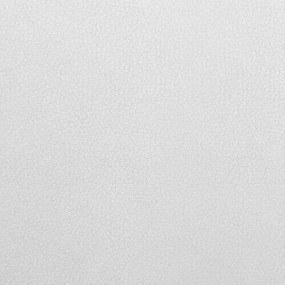 Σετ διαδρόμου Trenton 127, 85x34cm, 23 kg, Άσπρο, Πλαστικοποιημένη μοριοσανίδα, Οικολογικό δέρμα, Εντοιχισμένη, Τοίχου | Epipla1.gr