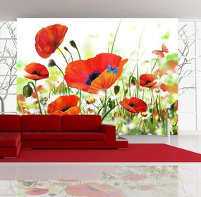 Φωτοταπετσαρία - Country poppies 400x270