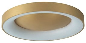 Φωτιστικό Οροφής - Πλαφονιέρα 77-8159 Led 60cm Amaya Brushed Gold Homelighting Aluminum,Acrylic
