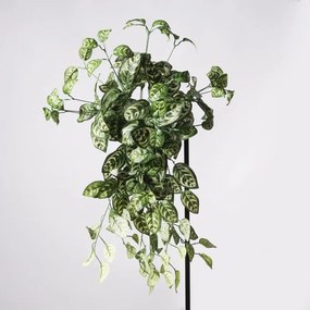 Supergreens Τεχνητός Κρεμαστός Κολεός Blumei Pinata Πράσινος 70 εκ