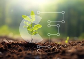 Intra Συλλεκτικό Ξύλινο Παζλ Plywood 4mm - Μικρό πράσινο φυτό που αναπτύσσεται από το έδαφος Σε Ξύλινο Κουτί - Διαστάσεις: 10x10 cm – 25 κομμάτια