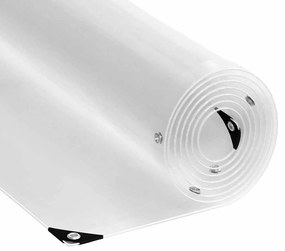 vidaXL Σαφής μουσαμάς με οπές 4x6 m PVC