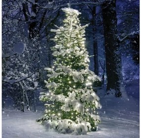 Λαμπάκια 350 LED Χταπόδι WW IP44 10x350cm 3μ Πράσινο Καλώδιο X08350111 ACA-X08350111-Πράσινο X08350111
