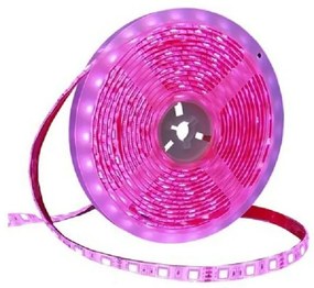 Ταινία LED – LED Strip - IP65 - 5m - Pink - 891207-891207