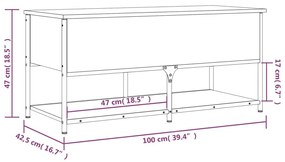 Παγκάκι Αποθήκευσης Μαύρο 100x42,5x47εκ. από Επεξεργασμένο Ξύλο - Μαύρο