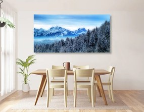 Εικόνα παγωμένα βουνά - 100x50