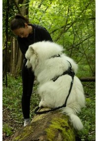 Λουρί Σκύλου SYMBIOZ Μαύρο S