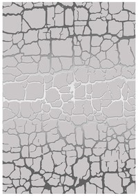 ΧΑΛΙ ΣΑΛΟΝΙΟΥ ΜΕ ΚΡΟΣΙΑ ΓΚΡΙ FB97675.19 160X230 εκ. 0517046