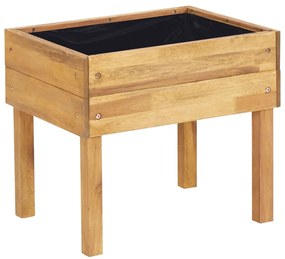 vidaXL Ζαρντινιέρα Υπερυψωμένη 50 x 40 x 45 εκ. από Μασίφ Ξύλο Ακακίας