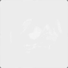 vidaXL Διαφανής Μουσαμάς με Οπές 2x2 μ. από PVC