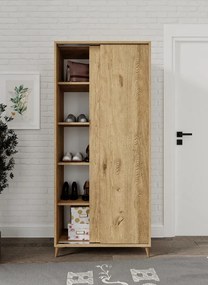 Stewehome Ντουλάπι Παπουτσιών με Συρόμενες Πόρτες Ευρύχωρο και Μοντέρνο 80x40x170 cm
