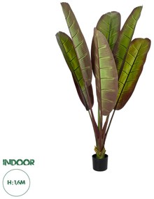 20117 GloboStar® Artificial Garden BLOODY BANANA TREE 20117 - Τεχνητό Διακοσμητικό Φυτό Αιματόφυλλη Μπανανιά - Μπανανόδεντρο Υ160cm