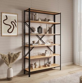 Βιβλιοθήκη Renev II-Drus