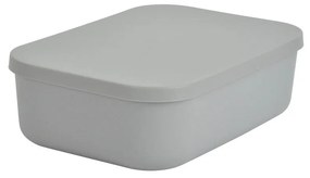 Κουτί Αποθήκευσης (25x17.5x7.6) L-C Gris 6RAN838GR