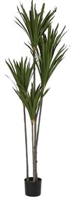 Διακοσμητικό Φυτό DKD Home Decor (80 x 80 x 180 cm)